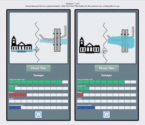Screenshot of online questionnaire