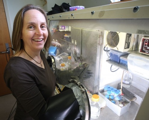 Michelle Scherer works in her lab