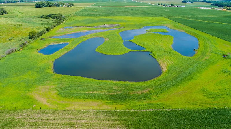 Aerial photo of wetland complex