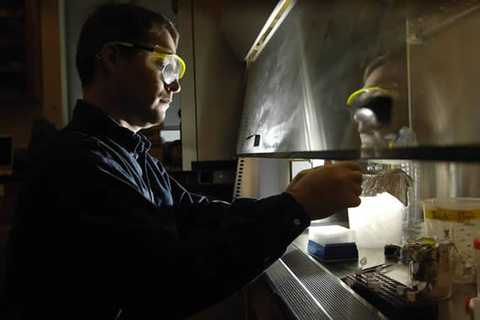Tim Mattes works in the lab