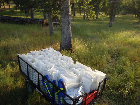 Soil and grass samples from the test plot