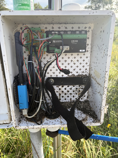 Thousands of ants crawl around a box full of electronic components