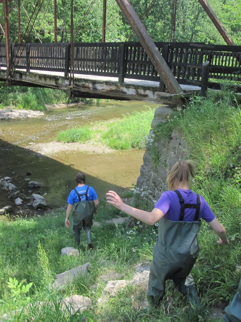 SIIHR students walking down to water in waders