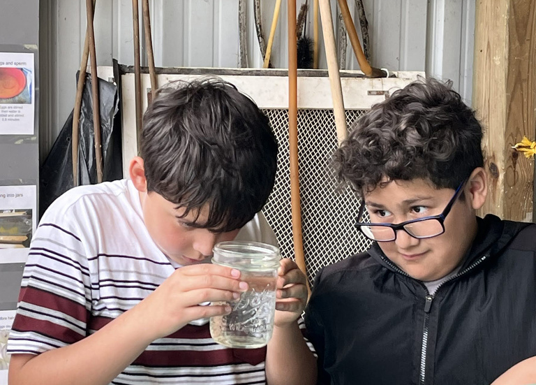 Two boys stare intently into a jar full of water and fish eggs