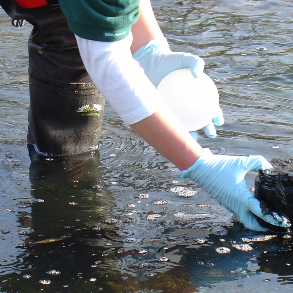 A person in blue gloves takes a sample of dirty looking water