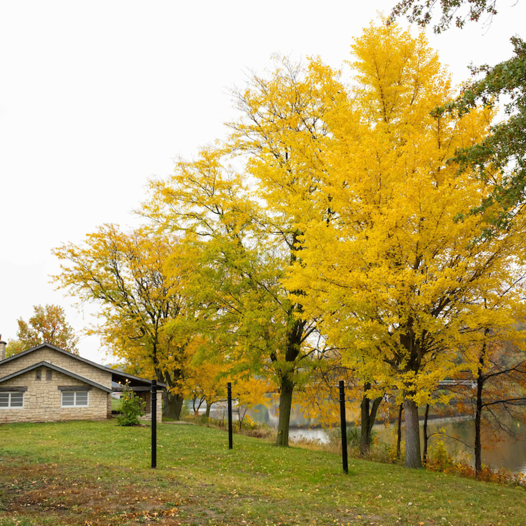 Read Aloud at the Lagoon Shelter House: Tending Iowa's Land promotional image