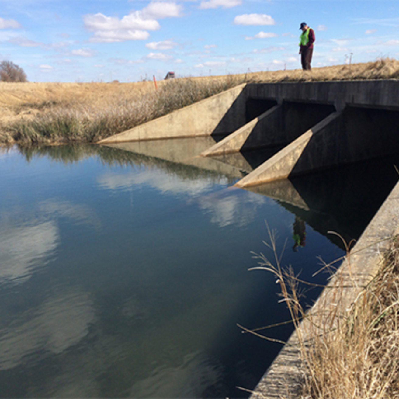 a man stands over the culvert, with water at the bottom of the hill flowing through it