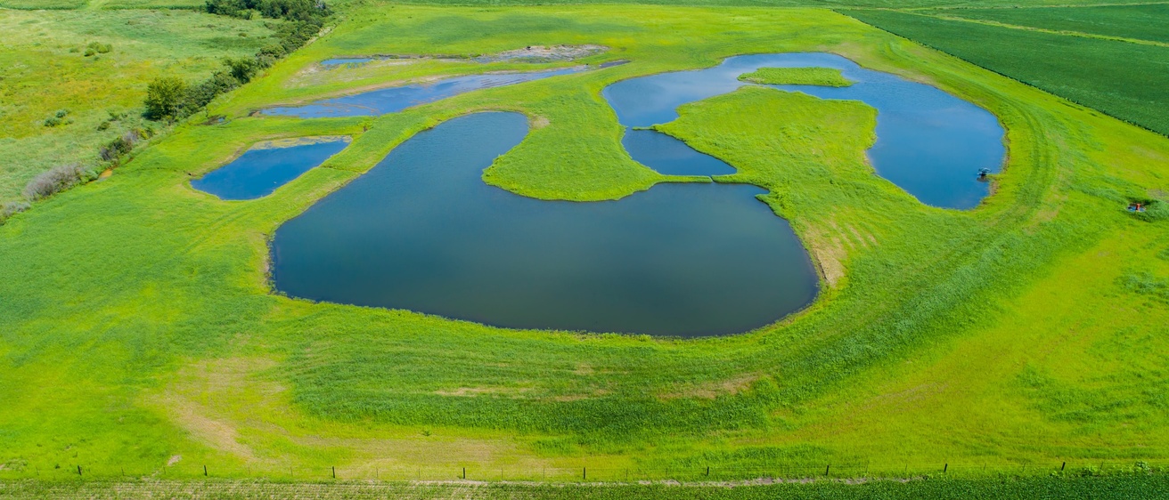Middle Cedar Watershed Wetland