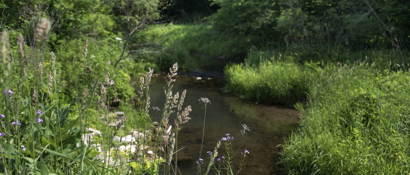 pretty river