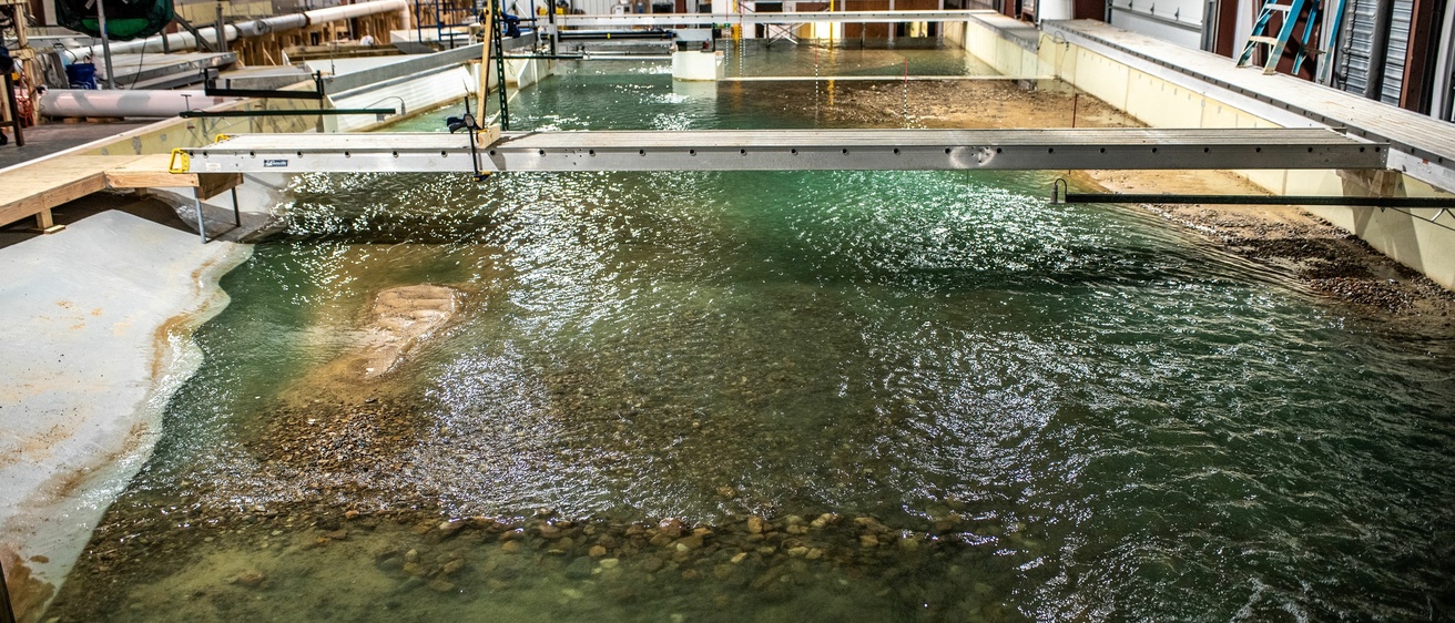 Freeman Diversion