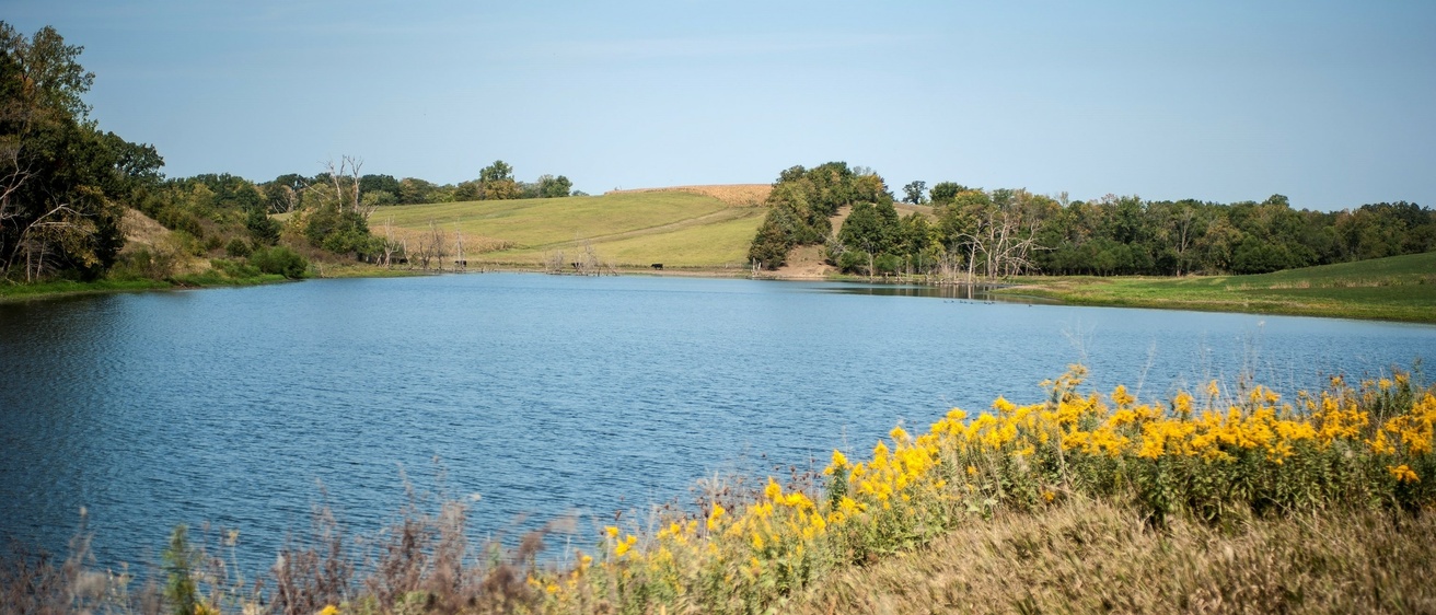 farm pond in southern Iowa