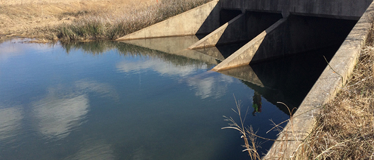 a man stands over the culvert, with water at the bottom of the hill flowing through it