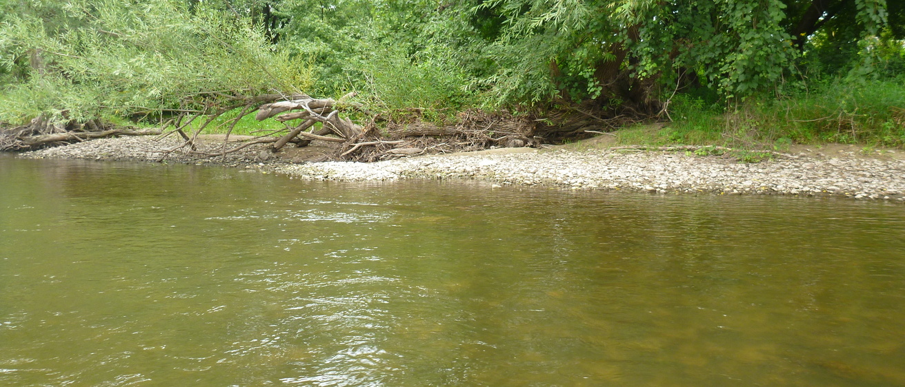 Cedar River
