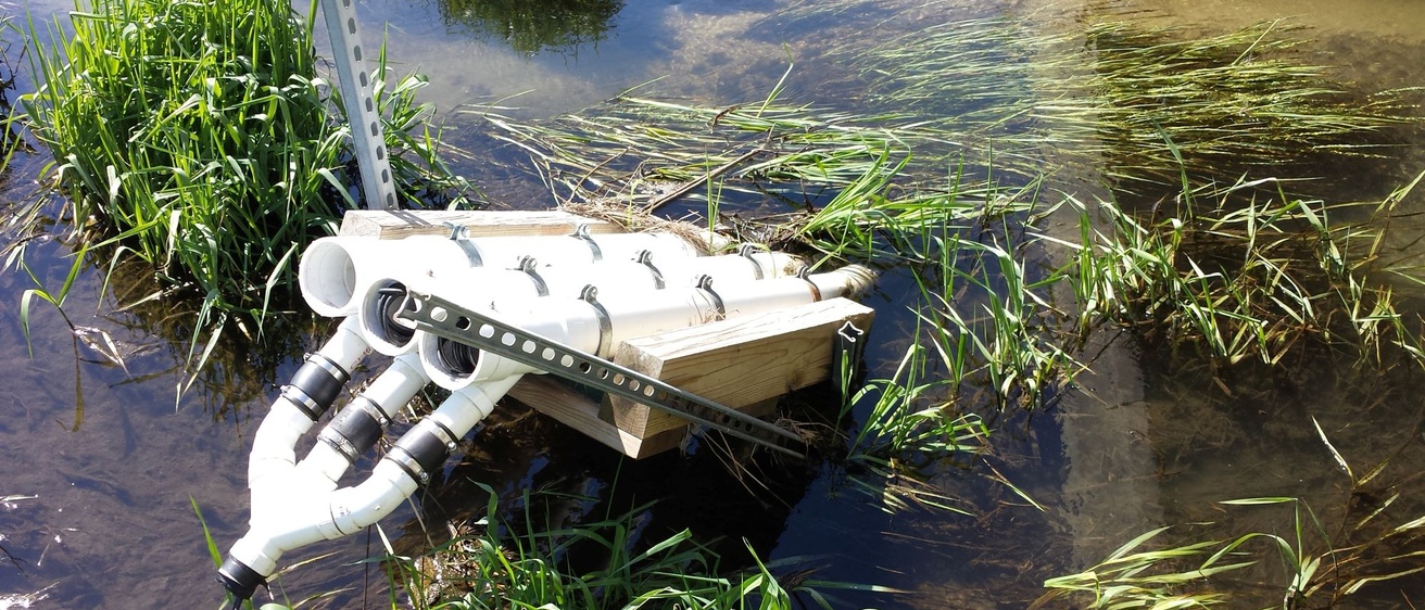 White PVC tubing protects water quality sensors in an Iowa stream