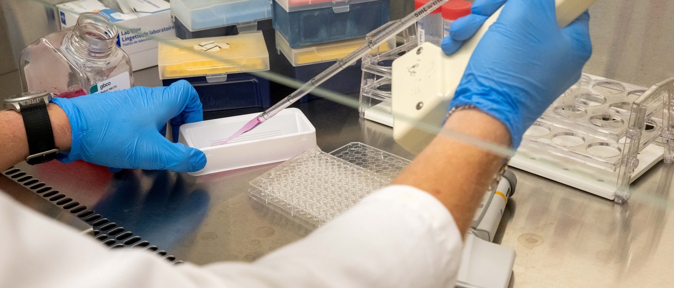 Blue gloved hands perform a test in a lab