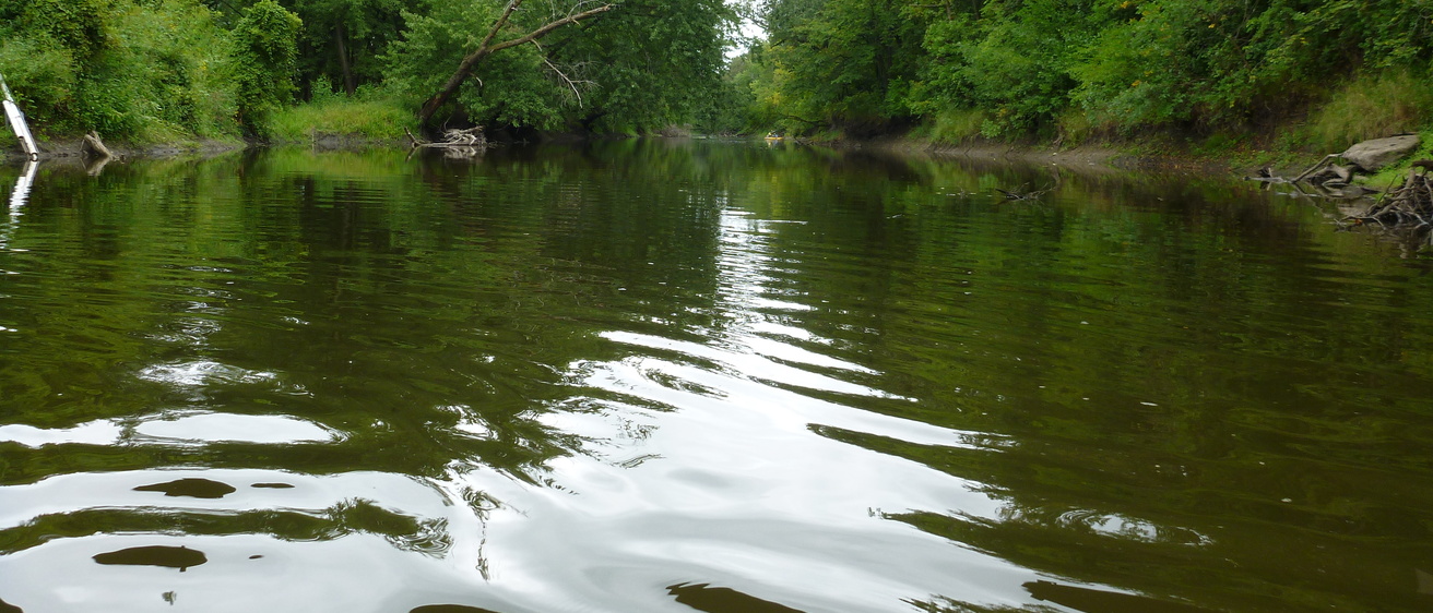 Closeup view of waves on a river. Green leafy trees line both banks.