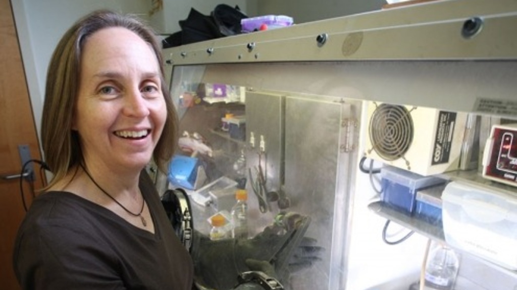 Michelle Scherer works in her lab