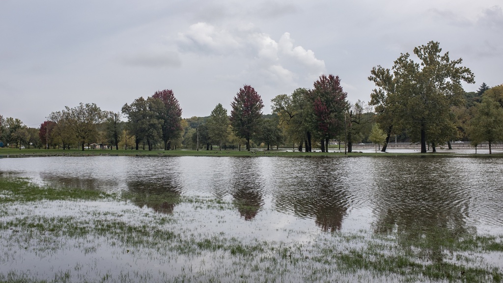 Standing water on a field