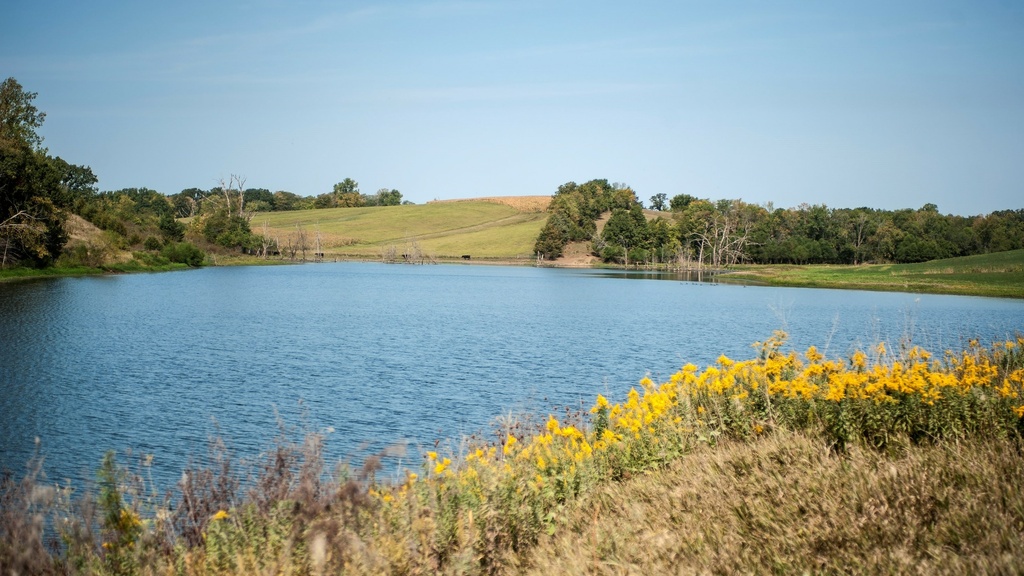 IWA pond