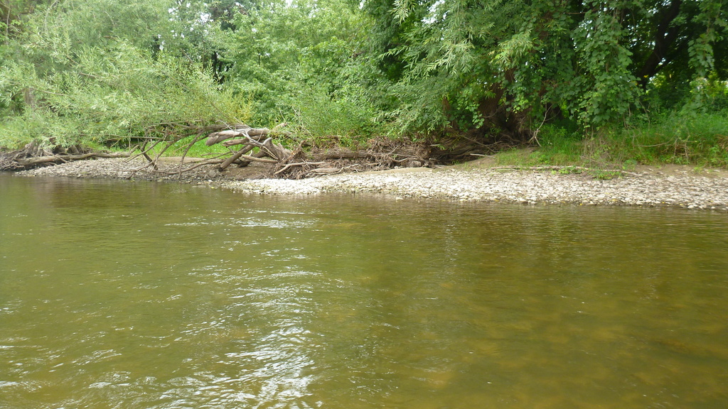 Cedar River