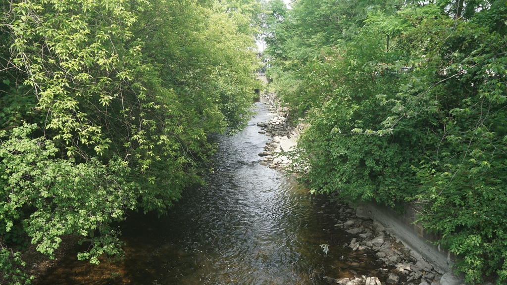A view of the Fox River in Waukesha, Wisconsin, with green leafy trees on both banks