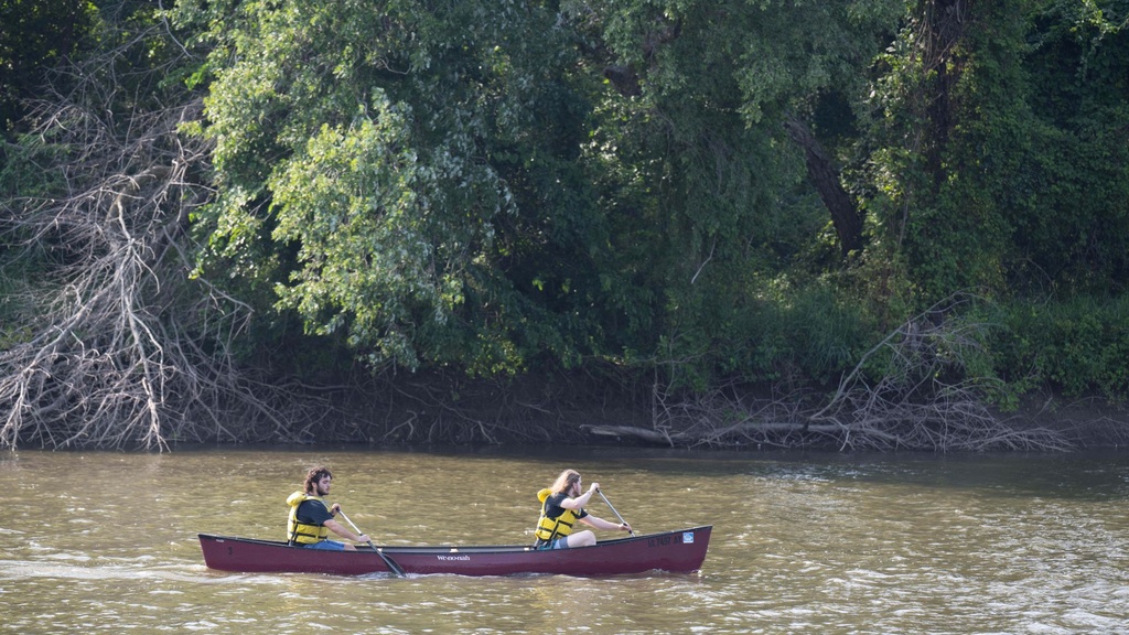 Two people in a canoe paddle down the Iowa River