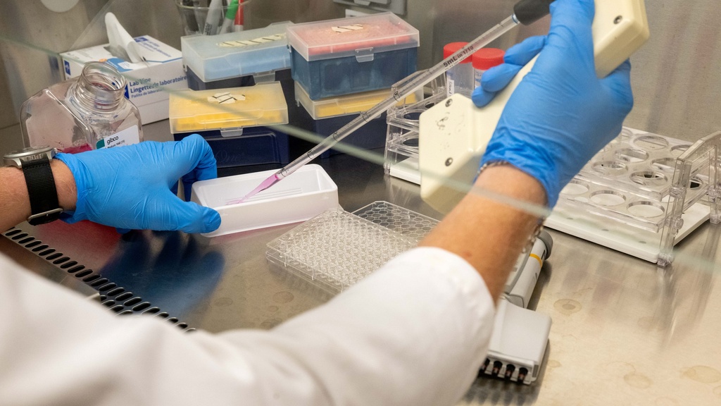Blue gloved hands perform a test in a lab