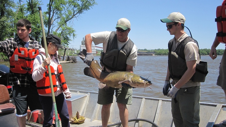 SIIHR students catching a large fish